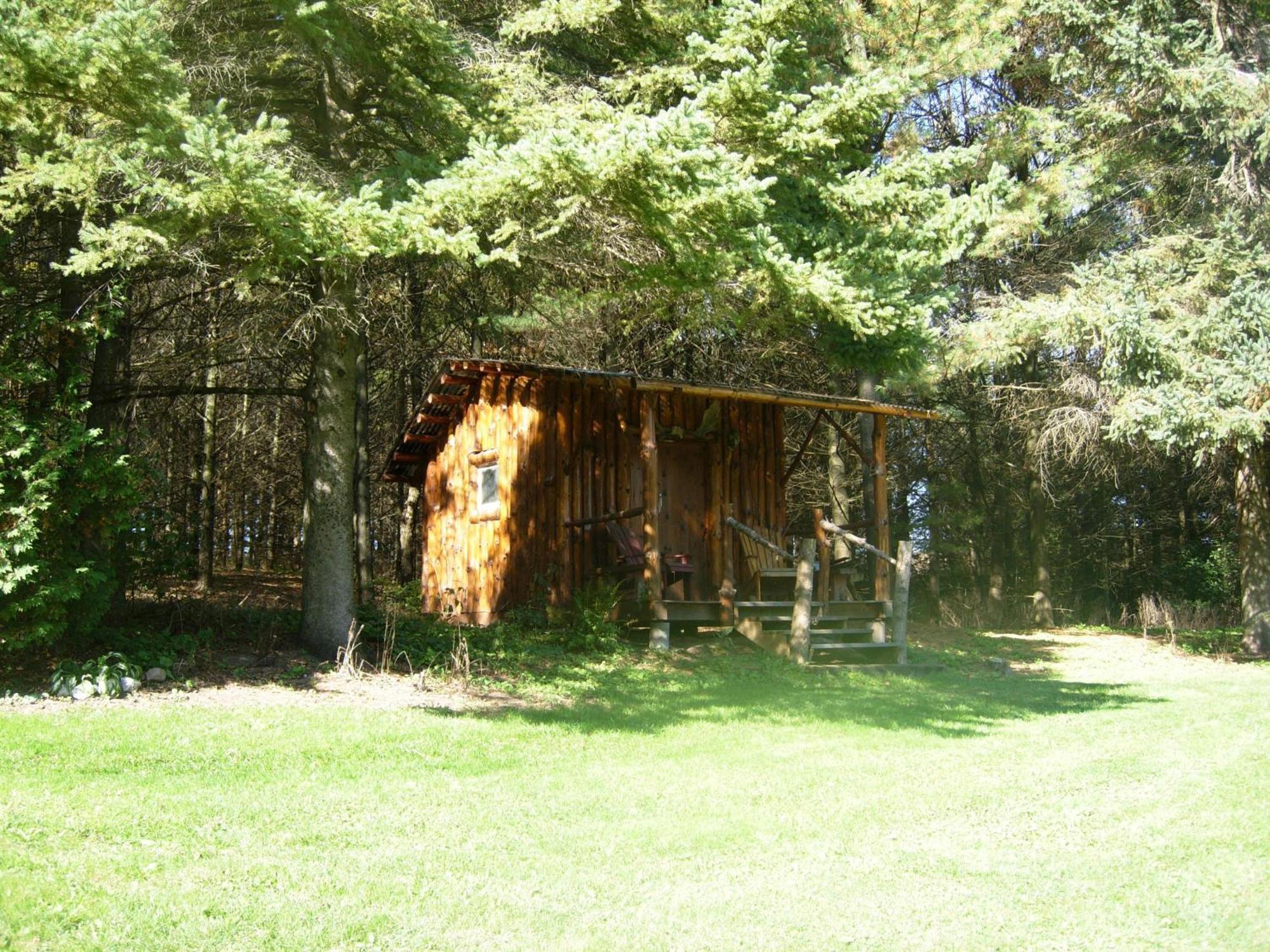 Koch Haus Bed And Breakfast Stratford Kültér fotó